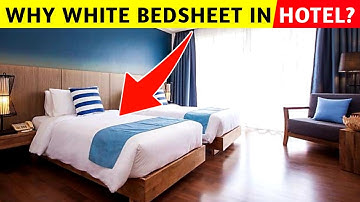 🤔 Why Hotel Bed Sheets Are White? #lifestyle&money #luxurious
