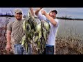 EPIC Crappie Fishing Rain Runoff from the BANK