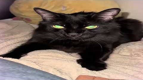 Going Undercover in The WEIRDEST Discord Servers