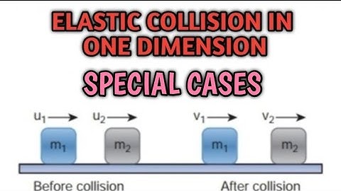 Elastic collision in one dimension | Special cases | 11 Physics | Samacheer kalvi.