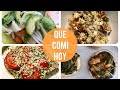 QUE COMI HOY SEMANAL (ENCHILADAS DE POLLO, PORTOBELLO CON ESPINACA, AVENA)