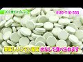 青汁酵素タブレット　美味しく食べる青汁！80種の野草発酵エキス入り