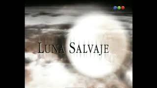 Version 2 of the video