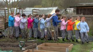 Video thumbnail of "Round and round the garden like a Teddy Bear"