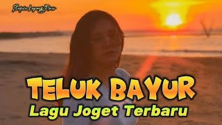 TELUK BAYUR REMIX LAGU JOGET TERBARU Safrin Lapang Rmxr