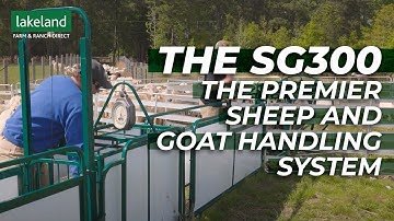 The Premier Sheep and Goat Handling System | The Lakeland SG300