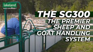 The Premier Sheep and Goat Handling System | The Lakeland SG300