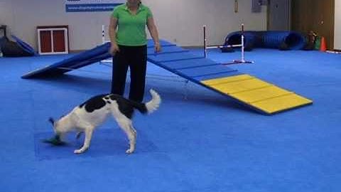 Fillie, Running AFrame #1