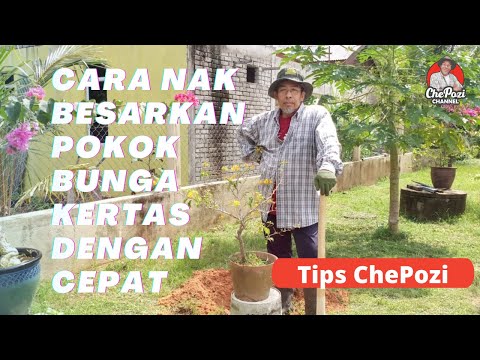 Video: Bagaimana Saya Membesarkan Papan Keratan?