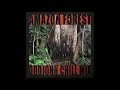 Oddjohn amazon forest chill