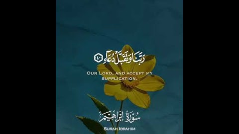 قرآن كريم بصوت جميل جدا😴❤️القارئ عبد الباسط | ارح سمعك تلاوة هادئة تنسيك هموم الدنيا كلها🤲🏻💜