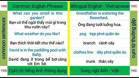 1955 Common English phrases - Cụm từ tiếng Anh thông dụng