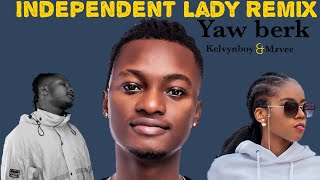 Yaw  Berk-Independent Lady Remix ft Kelvynboy & Mzvee (Lyrics)