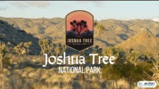 Joshua Tree National Park | Self-Guided Driving Tour