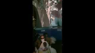 WalterStBernard is enchanted by &quot;Small World&quot; at Disney World.