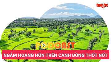 Pocast: Về An Giang ngắm hoàng hôn trên cánh đồng thốt nốt