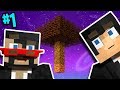 Minecraft: Sky Factory 4 w/ X33N Ep. 1