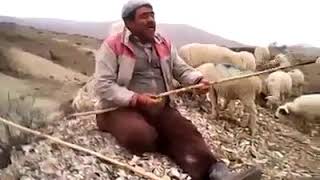 Çi̇ftetelli̇ Oyun Havalari Bi̇leci̇k