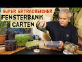 So kannst du auch im Winter auch ohne Garten ernten. Anbautipps für Keimsprossen und Microgreens