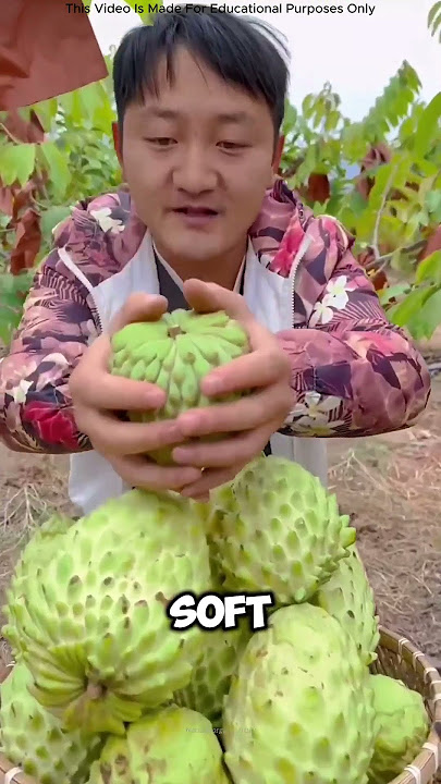 Ice Cream That Grows on Trees🤯 #shorts #icecream #grow #trees #farming #facts