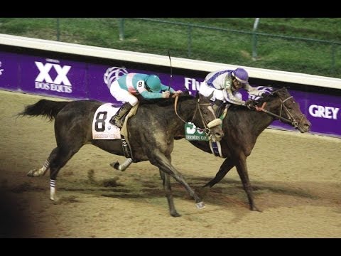 Blame 10 Breeders Cup Classic Pre Post Race Youtube