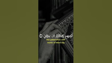 سورة الفيل بصوت جميل جدا😍 إسمع #quran #اكسبلور