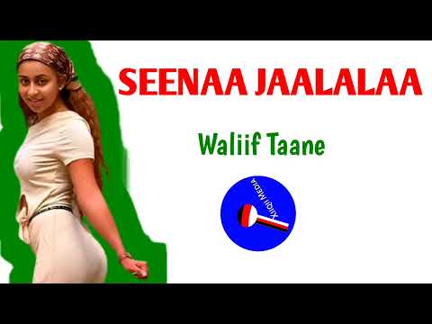 Sona Takele GADHEE NU GIDDUU New Oromo Music Official Video