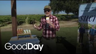 Sip, Sway, and Soak in the Vineyard Views at Fellow Fest!