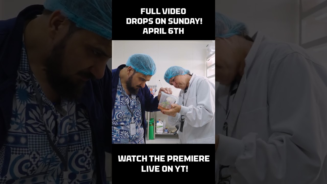 Sneak Peek: FAB's Business Field Trips - The Superbly Green Adventure!