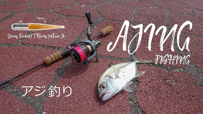 Aji Fishing Tutorial for Beginners