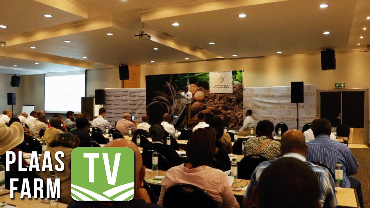 youtube-video-thumbnail