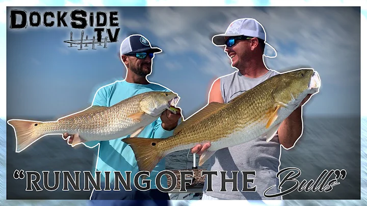 DockSide TV 'Running of the Bulls'