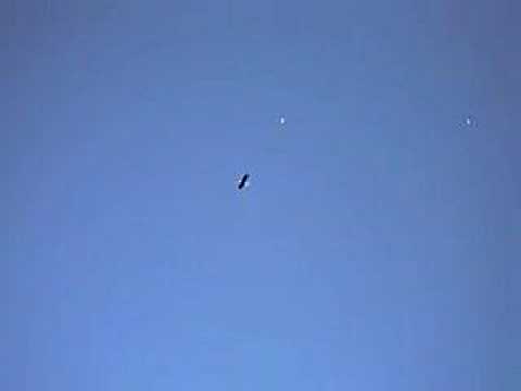 eagle catching chicken - YouTube