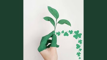 Background for Mellow Out Summer