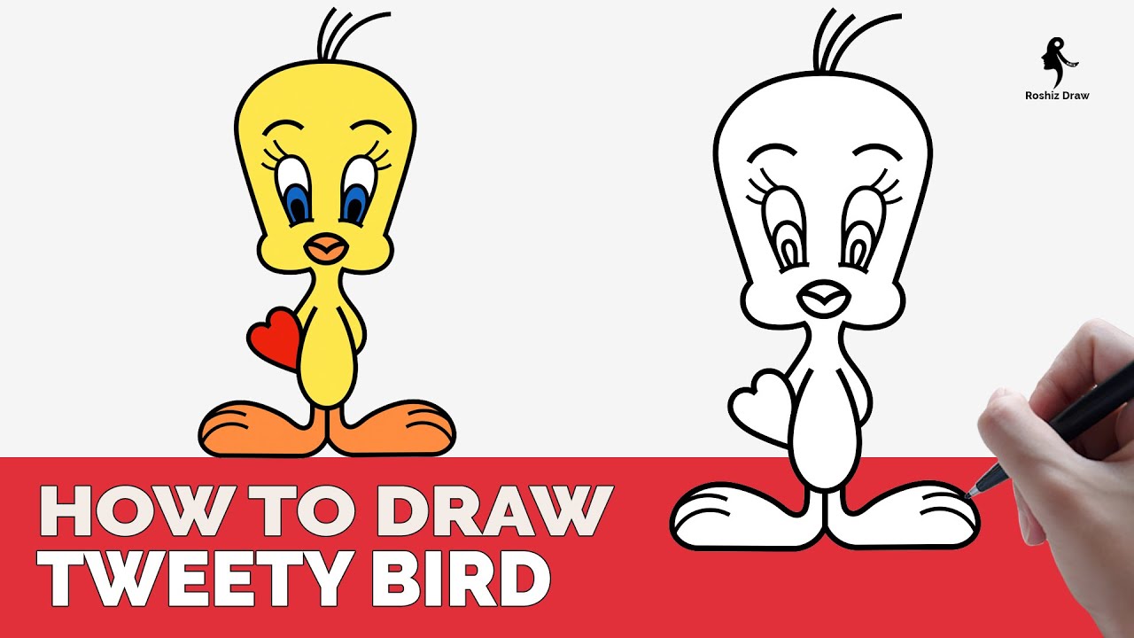 HOW TO DRAW TWEETY BIRD EASY YouTube