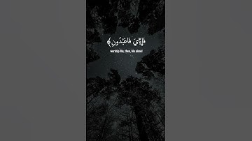سورة العنكبوت || آية 56-57 || صفحة 403 بصوت الشيخ عبدالرحمن مسعد