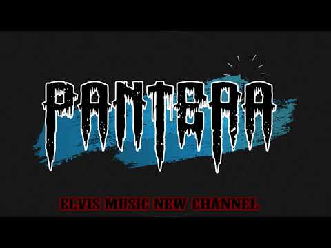 Best 23Songs List Alltime of PANTERA Band Metal Graffiti - YouTube