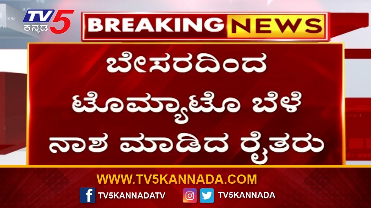 Koppal: ಕೊಪ್ಪಳದಲ್ಲಿ ಟೊಮೊಟೊ ಬೆಲೆ ನಾಶ ಆಗ್ರೋ ಕಂಪನಿ ವಿರುದ್ಧ ರೈತರ ಆಕ್ರೋಶ | Tomato Crop | Tv5 Kannada