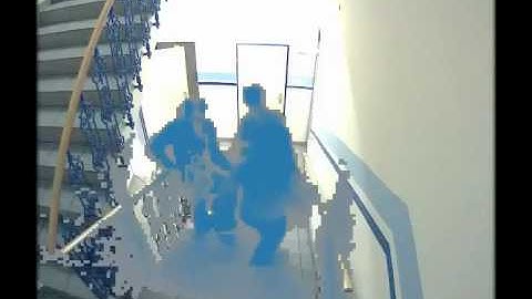 KiwiSecurity - KiwiVision Privacy Protector