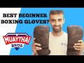 RDX Boxing Gloves Review (Is It A Bargain?)