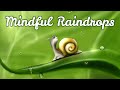 Mindfulness Meditation for Kids | MINDFUL RAINDROPS | Guided Meditation for Children