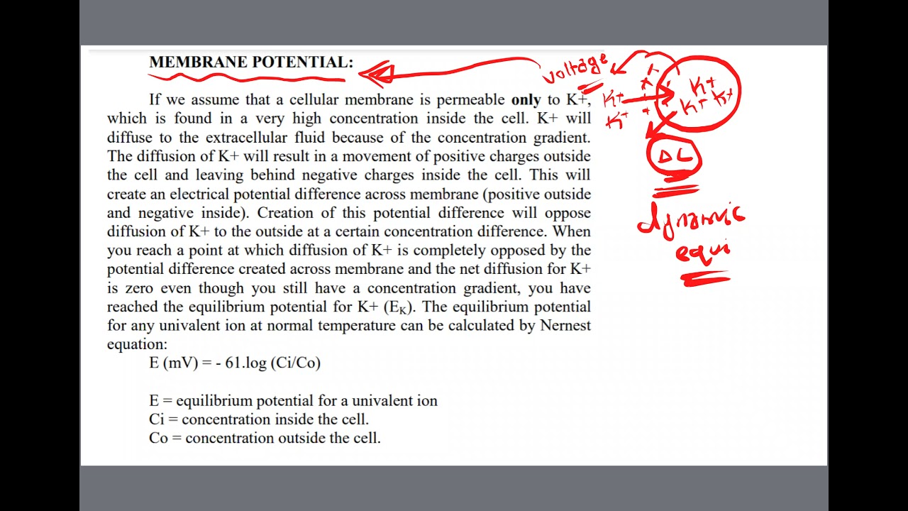 2021 Physiology Revision For Medical Students by Hadeel Abdullah/ Part 1