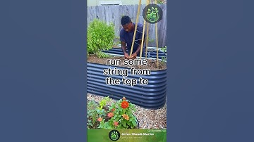 Build This Easy DIY Trellis for Your Garden #gardening #viral #trending