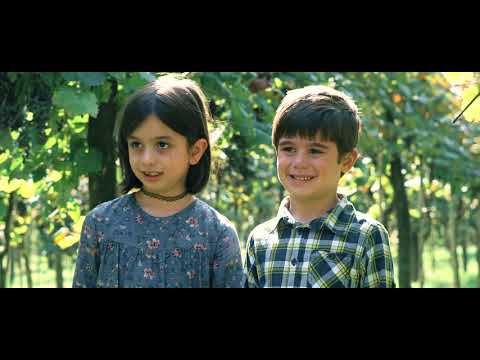 სტუდია ჩიკო