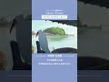 作業用BGM - 佐渡島 | トキと生きる静かな里山（フルver.は▶️をクリック） #shorts #BGM #chill #animation #anime