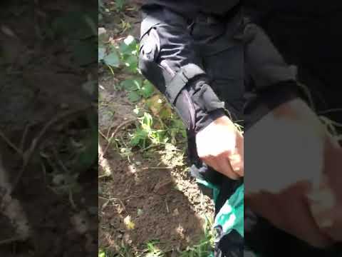 VÍDEO | Tio mata a golpes de faca a sobrinha de 14 anos, após estuprá-la