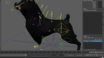 Free choky dog rig