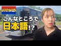 【衝撃】パラグアイに入国したら、いきなり日本語で話しかけられて...!?