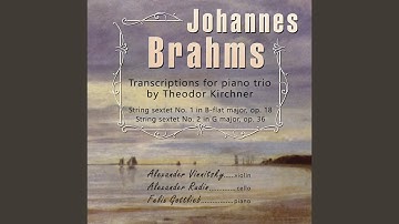 String Sextet No. 1 in B-Flat Major, Op. 18: I. Allegro ma non troppo