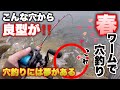 【穴釣り】こんな近くに良型が！穴釣りには夢がある！